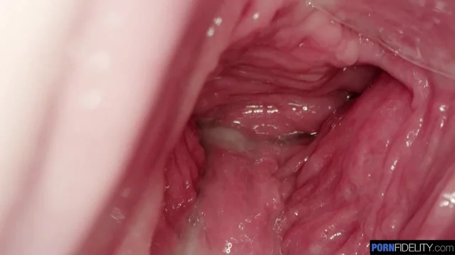 Creampies Pussy Hd