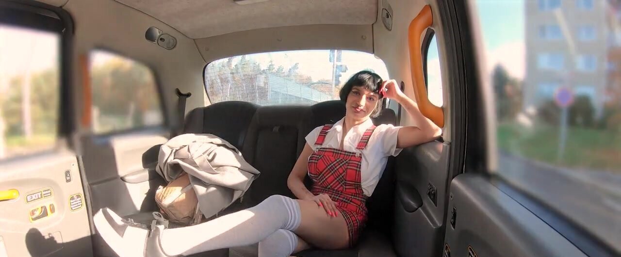 Coed in a sexy skirt is going to fuck in the backseat